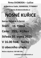 Nosné kuřice